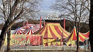 Vor rund drei Wochen kam der Weihnachtszirkus an: „Es dauert ungefähr einen Monat, bis alles an seinem Platz steht, weihnachtlich geschmückt ist und die Generalproben gelaufen sind“, sagt Remo Frank. Vor rund drei Wochen kam der Weihnachtszirkus an: „Es dauert ungefähr einen Monat, bis alles an seinem Platz steht, weihnachtlich geschmückt ist und die Generalproben gelaufen sind“, sagt Remo Frank.