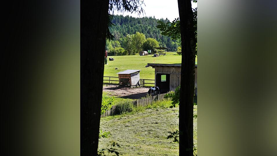 Im Erlebnispark Volgsam gibt es viele Tiere zu sehen und zu streicheln. Im Erlebnispark Volgsam gibt es viele Tiere zu sehen und zu streicheln.