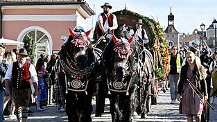 Mit Ross und Tracht geht es auch in diesem Jahr auf die Herbstdult. Der Auszug zum Glöckl-Zelt startet am Freitag, 29. August, um 17 Uhr am Neupfarrplatz. (Archivfoto) Mit Ross und Tracht geht es auch in diesem Jahr auf die Herbstdult. Der Auszug zum Glöckl-Zelt startet am Freitag, 29. August, um 17 Uhr am Neupfarrplatz. (Archivfoto)