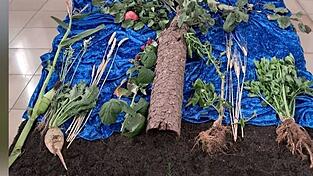 Der geplünderte Erntedankaltar Der geplünderte Erntedankaltar