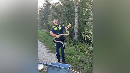 Dieser Polizist fing die Schlange ein. Dieser Polizist fing die Schlange ein.