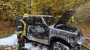 Auch wenn das Auto hinüber ist: Das Feuer griff nicht auf die Bäume über. Auch wenn das Auto hinüber ist: Das Feuer griff nicht auf die Bäume über.