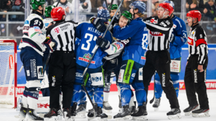 Den Meister in die Mangel genommen: Wade Allison und die Tigers bezwangen Berlin mit 5:3. Den Meister in die Mangel genommen: Wade Allison und die Tigers bezwangen Berlin mit 5:3.