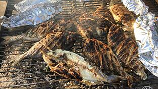 Gegrillter Fisch ist gerade im Sommer ein beliebtes Gericht. Vor allem die Dorade eignet sich gut dafür. Gegrillter Fisch ist gerade im Sommer ein beliebtes Gericht. Vor allem die Dorade eignet sich gut dafür.