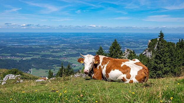 Wer in Bayern einen Ausflug plant und etwa im Voralpenland wandern will, dürfte am Sonntag das schönere Wetter erwischen. (Symbolbild) Wer in Bayern einen Ausflug plant und etwa im Voralpenland wandern will, dürfte am Sonntag das schönere Wetter erwischen. (Symbolbild)