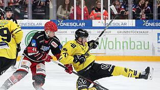 Wieder an Bord: EVL-Verteidiger Elias Lindner (schwarzes Trikot) ist am Wochenende einsatzbereit und soll schon am Freitag dabei mithelfen, die Krefeld Pinguine zu Fall zu bringen. Wie hier zu sehen, ist ihm das beim 5:3-Sieg im Oktober schon mal ganz gut gelungen. Wieder an Bord: EVL-Verteidiger Elias Lindner (schwarzes Trikot) ist am Wochenende einsatzbereit und soll schon am Freitag dabei mithelfen, die Krefeld Pinguine zu Fall zu bringen. Wie hier zu sehen, ist ihm das beim 5:3-Sieg im Oktober schon mal ganz gut gelungen.