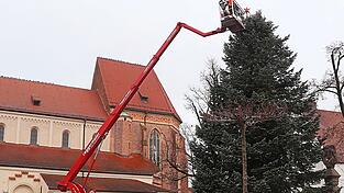 Kleiner Stern am großen Baum: Die mächtige Kolorado-Tanne, die kürzlich mit viel Aufwand durch die Stadt transportiert und dann auf dem Plan aufgestellt worden ist, hat am Dienstag ihren Stern bekommen. Dafür brauchte es eine Kran-Hebebühne. Kleiner Stern am großen Baum: Die mächtige Kolorado-Tanne, die kürzlich mit viel Aufwand durch die Stadt transportiert und dann auf dem Plan aufgestellt worden ist, hat am Dienstag ihren Stern bekommen. Dafür brauchte es eine Kran-Hebebühne.