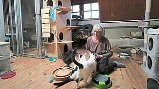 In den großen Katzengehegen im Haus setzt sich Edith Herrlein schon mal gerne auf den Boden und streichelt ihre Findlinge - die alle nicht nur gechippt und kastriert sind, sondern auch einen Namen haben. In den großen Katzengehegen im Haus setzt sich Edith Herrlein schon mal gerne auf den Boden und streichelt ihre Findlinge - die alle nicht nur gechippt und kastriert sind, sondern auch einen Namen haben.