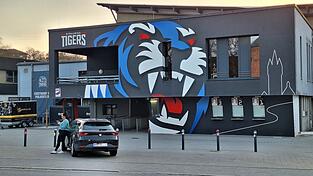 Das Straubinger Eisstadion, in dem sich der Vorfall abspielte. Das Straubinger Eisstadion, in dem sich der Vorfall abspielte.