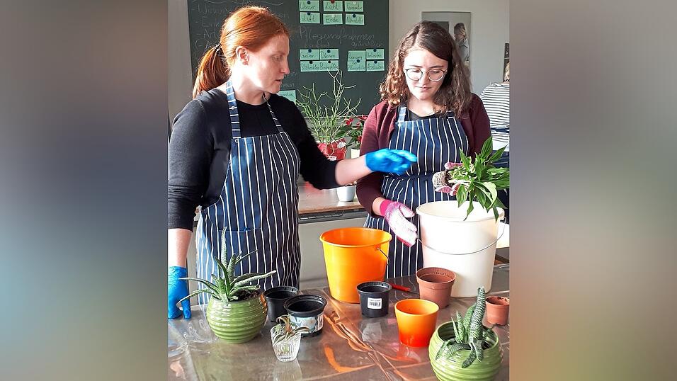 Einblick in den Unterricht: Studierende beim Umtopfen von Zimmerpflanzen. Einblick in den Unterricht: Studierende beim Umtopfen von Zimmerpflanzen.