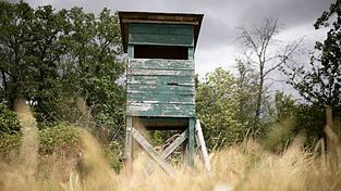 Das bayerische Jagdrecht wird reformiert. (Archivbild) Das bayerische Jagdrecht wird reformiert. (Archivbild)