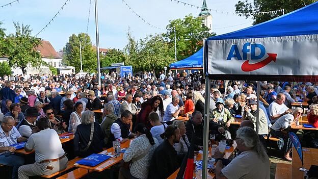 Die AfD hielt ihre Kundgebung auf der Schlosswiese in Abensberg ab. Die AfD hielt ihre Kundgebung auf der Schlosswiese in Abensberg ab.