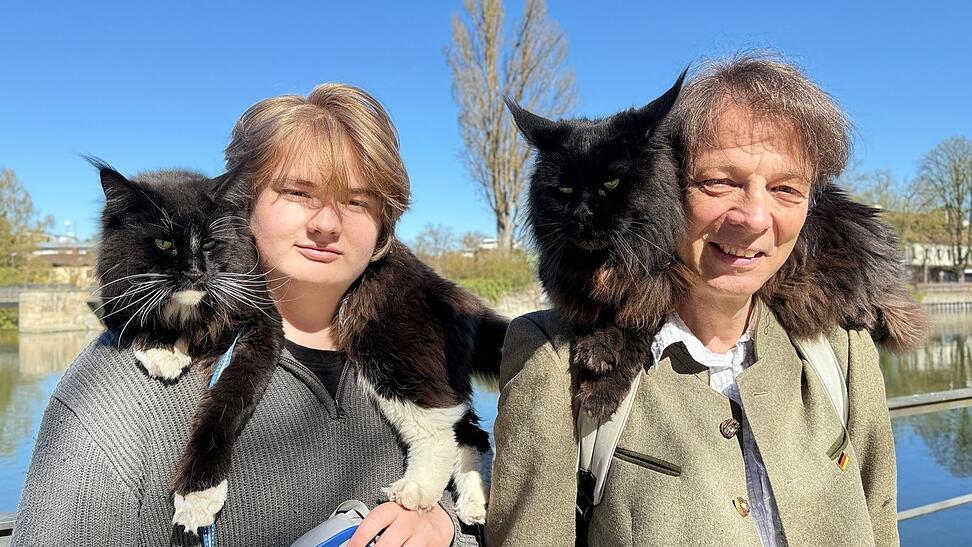 Lebendige Fellkragen: Die beiden Maine-Coon-Katzen Leia (links) und Jango sitzen oft auf den Schultern von Manfred Nammari und seinem Sohn. Lebendige Fellkragen: Die beiden Maine-Coon-Katzen Leia (links) und Jango sitzen oft auf den Schultern von Manfred Nammari und seinem Sohn.