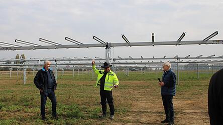 Noch stehen hinter Landwirt Gerhard Froschhammer (von links), Bauleiter Alexander Mandl von der Firma Maxsolar und dem Vorsitzenden der Genossenschaft Bürger Energie Region Regensburg (BERR), Joachim Scherrer, überwiegend Ständer. Bald werden darauf PV-Anlagen befestigt sein, die Sonnenenergie in Strom verwandeln. Darunter wird Weizen und Soja wachsen. Noch stehen hinter Landwirt Gerhard Froschhammer (von links), Bauleiter Alexander Mandl von der Firma Maxsolar und dem Vorsitzenden der Genossenschaft Bürger Energie Region Regensburg (BERR), Joachim Scherrer, überwiegend Ständer. Bald werden darauf PV-Anlagen befestigt sein, die Sonnenenergie in Strom verwandeln. Darunter wird Weizen und Soja wachsen.