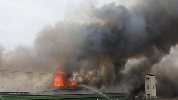 Der Hühnerstall soll zum Zeitpunkt des Brandes leer gewesen sein. Der Hühnerstall soll zum Zeitpunkt des Brandes leer gewesen sein.