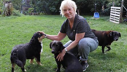Michaela Kläge mit ihren Hunden Max, Seppi und Lia im Garten. Lia ließ sich noch im Tierheim in Rumänien kaum anfassen. Kläge hat sie erfolgreich vermittelt, bald ist Lia bei ihren neuen Besitzern. Michaela Kläge mit ihren Hunden Max, Seppi und Lia im Garten. Lia ließ sich noch im Tierheim in Rumänien kaum anfassen. Kläge hat sie erfolgreich vermittelt, bald ist Lia bei ihren neuen Besitzern.