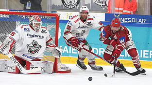 Ein glückliches Händchen bewies EVL-Verteidiger Wade Bergman (rotes Trikot) beim 2:1-Triumph gegen Regensburg. Zuerst fälschte er den Schuss von Linus Brandl entscheidend zum 1:1 ab und war dann auch an Tor Immos Siegtreffer beteiligt. Ein glückliches Händchen bewies EVL-Verteidiger Wade Bergman (rotes Trikot) beim 2:1-Triumph gegen Regensburg. Zuerst fälschte er den Schuss von Linus Brandl entscheidend zum 1:1 ab und war dann auch an Tor Immos Siegtreffer beteiligt.