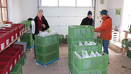Jeden Donnerstag wird erst geerntet und dann das Gemüse gemeinsam verpackt. Jeden Donnerstag wird erst geerntet und dann das Gemüse gemeinsam verpackt.