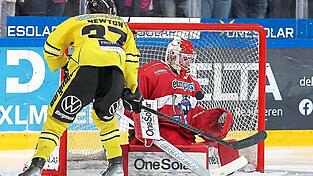 So einfach kann’s gehen: Der Krefelder Max Newton stellte in der 43. Spielminute auf 3:9 - zu dem Zeitpunkt stand beim EVL bereits Philipp Dietl für den entnervten Jonas Langmann im Kasten. So einfach kann’s gehen: Der Krefelder Max Newton stellte in der 43. Spielminute auf 3:9 - zu dem Zeitpunkt stand beim EVL bereits Philipp Dietl für den entnervten Jonas Langmann im Kasten.