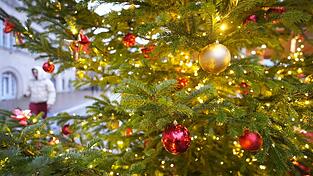 Die Christbaumversteigerung fand im Altlandkreis Viechtach statt. Die Christbaumversteigerung fand im Altlandkreis Viechtach statt.