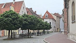 Einer der wenigen Baumstandorte in der Innenstadt ist aktuell der Martinsfriedhof. Einer der wenigen Baumstandorte in der Innenstadt ist aktuell der Martinsfriedhof.