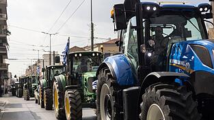 Betrug mit Agrarsubventionen: Nicht nur Landwirte stehen im Fokus der Ermittler. (Archivbild) Betrug mit Agrarsubventionen: Nicht nur Landwirte stehen im Fokus der Ermittler. (Archivbild)