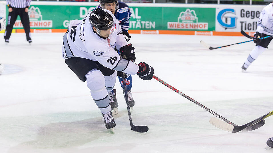 Die Straubing Tigers hatten die Thomas Sabo Ice Tigers Nürnberg zu Gast. Die Straubing Tigers hatten die Thomas Sabo Ice Tigers Nürnberg zu Gast.
