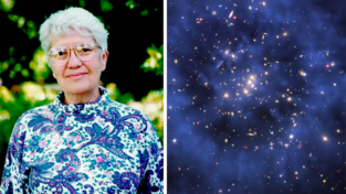 Rechts: Ein Ring Dunkler Materie in einem fünf Milliarden Lichtjahre entfernten Galaxienhaufen. Die Verteilung ist leuchtend blau dargestellt, da die rätselhafte Substanz unsichtbar ist. Ihre Verteilung wurde am Computer errechnet und dann über das Foto des Hubble-Weltraumteleskops gelegt. Links: Vera Rubin im Jahr 2013. Rechts: Ein Ring Dunkler Materie in einem fünf Milliarden Lichtjahre entfernten Galaxienhaufen. Die Verteilung ist leuchtend blau dargestellt, da die rätselhafte Substanz unsichtbar ist. Ihre Verteilung wurde am Computer errechnet und dann über das Foto des Hubble-Weltraumteleskops gelegt. Links: Vera Rubin im Jahr 2013.