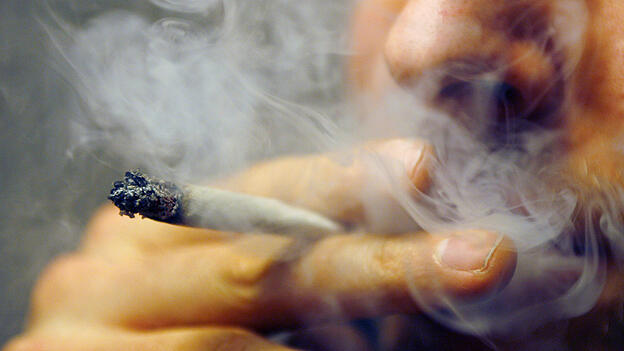 Die Polizei hat Ermittlungen wegen des Verdachts des Handels mit Cannabis aufgenommen. (Symbolbild) Die Polizei hat Ermittlungen wegen des Verdachts des Handels mit Cannabis aufgenommen. (Symbolbild)