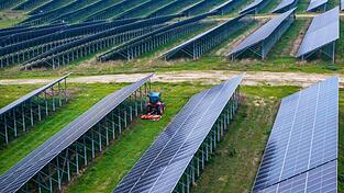 So ähnlich könnten die Module der Agri-PV-Anlage angeordnet sein. So ähnlich könnten die Module der Agri-PV-Anlage angeordnet sein.